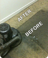 Carpet Cleaning - Before & After